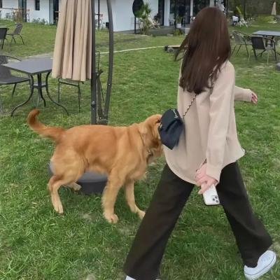 行运一条龙